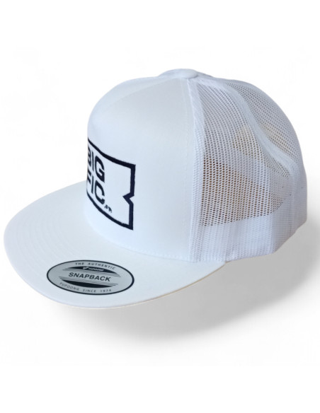 CASQUETTE BIGFIC FLEXFIT (TAILLE UNIQUE)