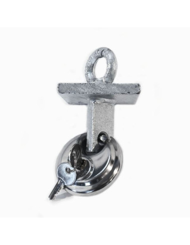 ANTIVOL POUR TÊTE À ANNEAU AGRAIRE ET ROUTIER