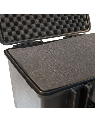COFFRE MALETTE AVEC MOUSSE DE PROTECTION 455 X...