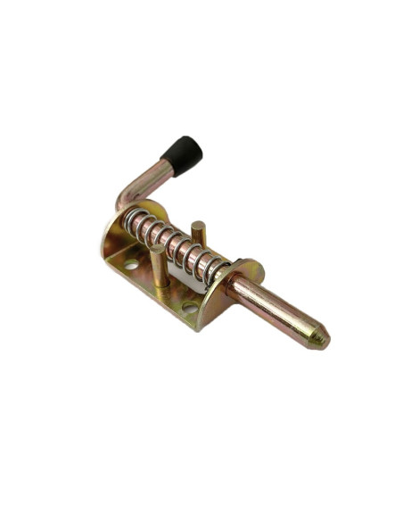 TARGETTE VERROU À RESSORT 50 X 30 MM