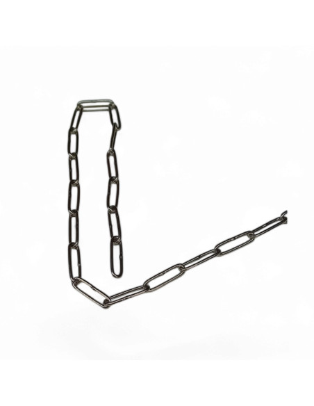 CHAINE A MAILLON DIAMETRE 2 MM DIN 763, INOX AISI 316 (VENDU AU M)