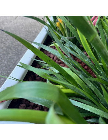 JARDINIERE ALUMINIUM 1200 X 400 X 400 MM...