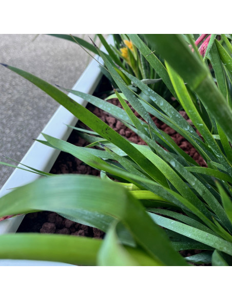 JARDINIERE ALUMINIUM 1200 X 400 X 400 MM FINITION BLANC MAT