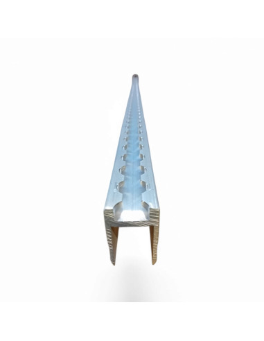 RAIL AERO SPECIAL DESSUS DE RIDELLE (SUR...