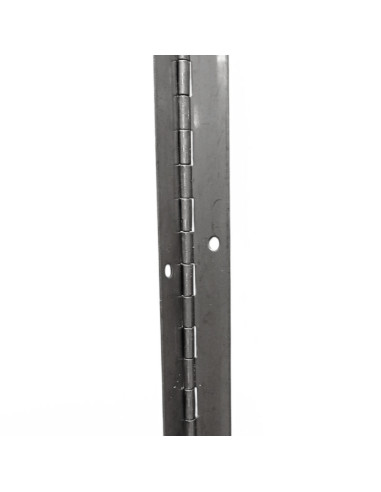 CHARNIERE PIANO INOX 2000X38X0,9 MM