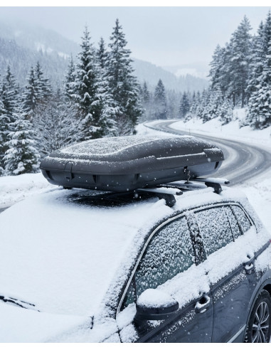 COFFRE DE TOIT DOUBLE OUVERTURE 480L DIM....