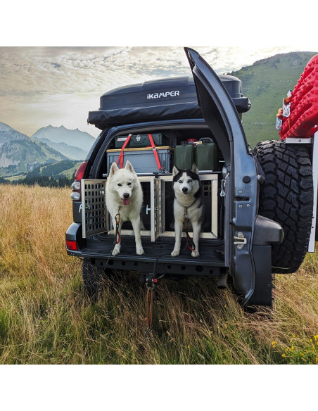 COFFRE ALUMINIUM POUR TRANSPORT DE CHIEN 500 X 850 X 550 MM.